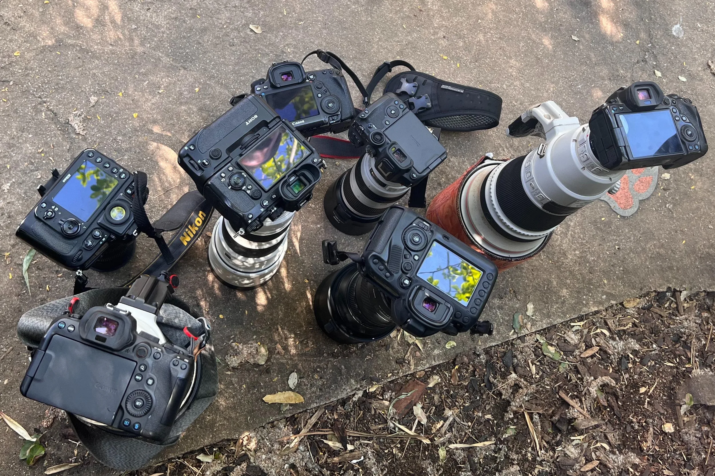 Camera Recommendations