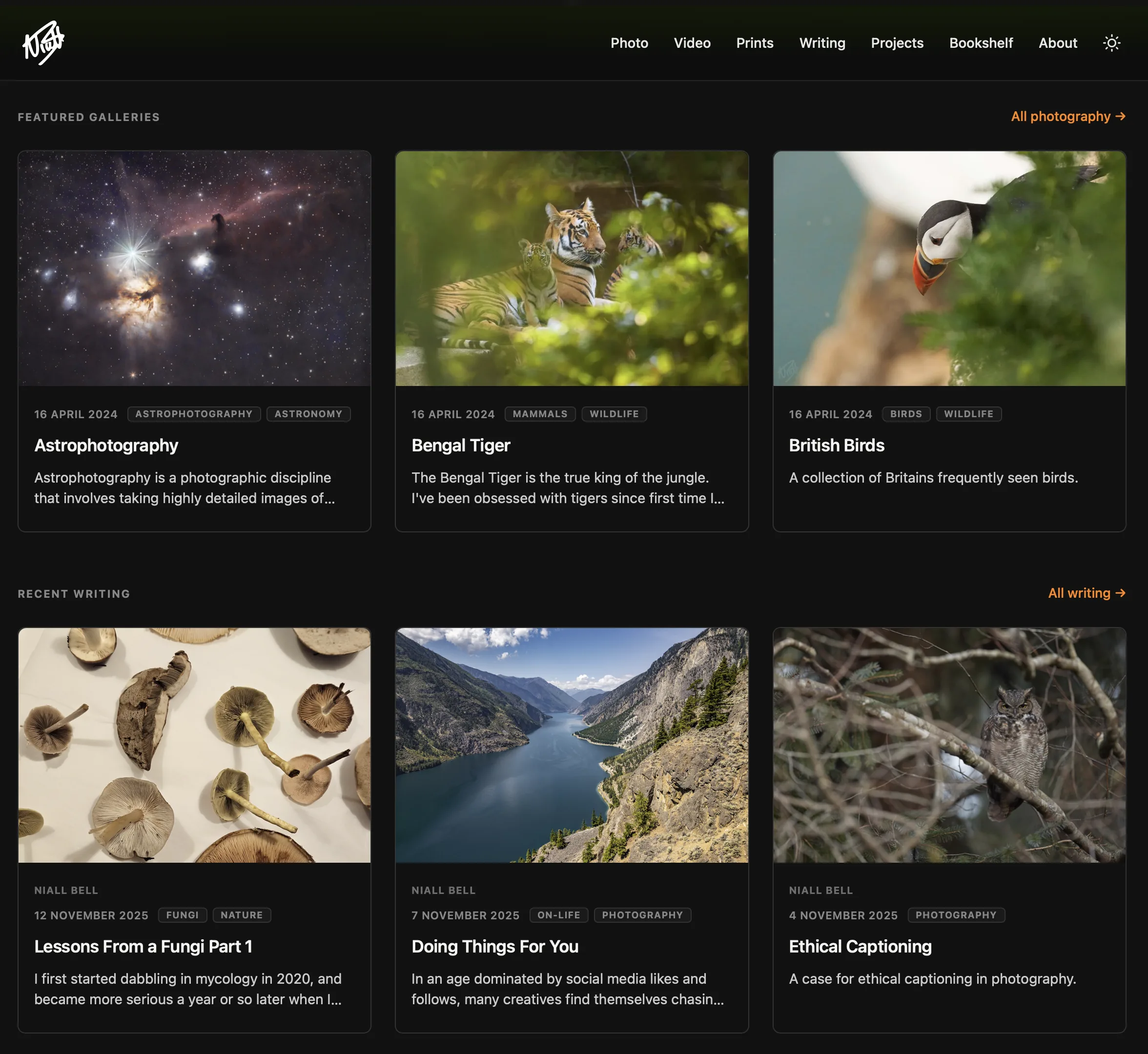 niallbell.com Updates