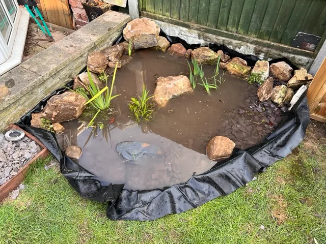 Pond freshly planted up.