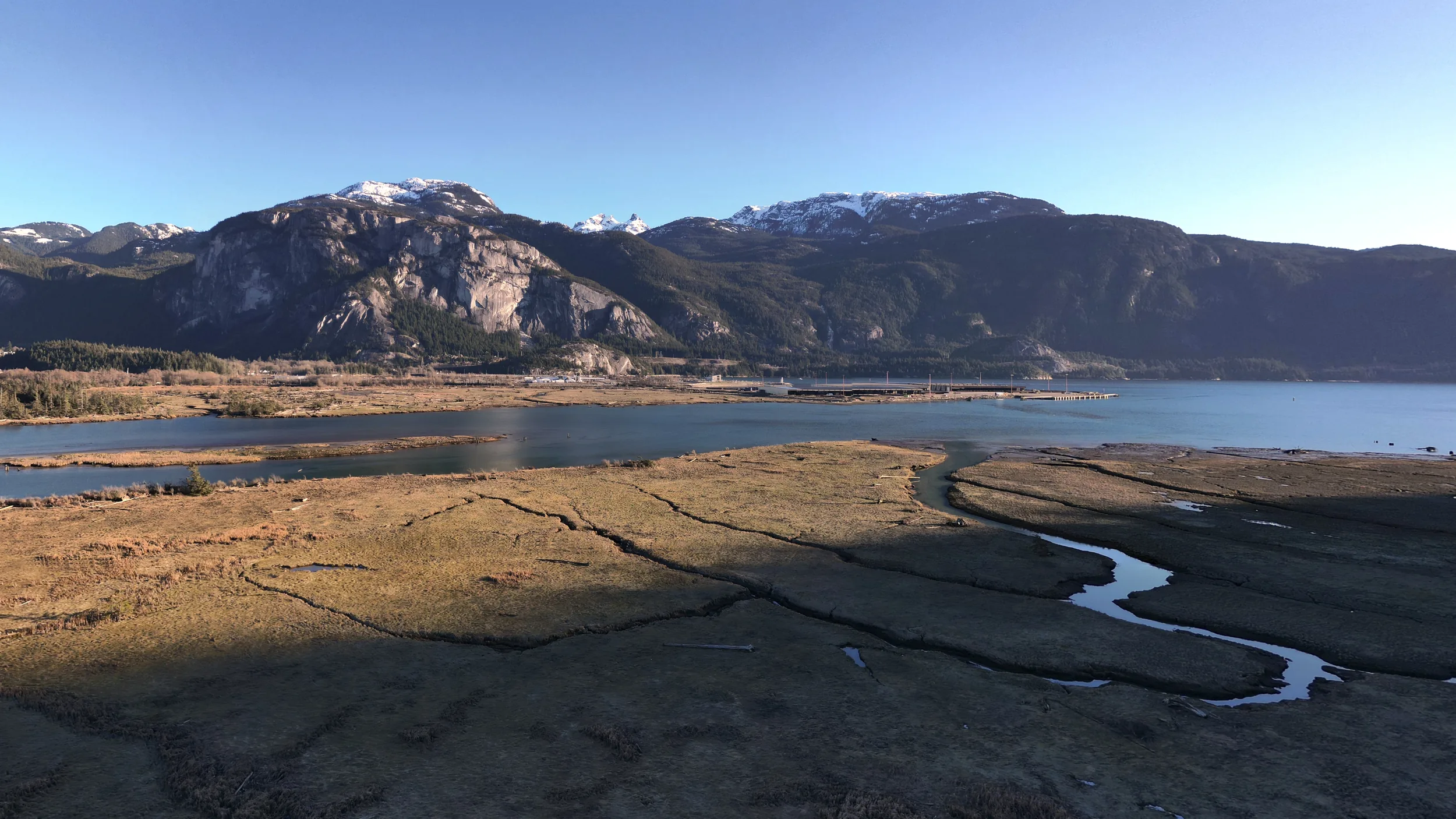Squamish eBird Data
