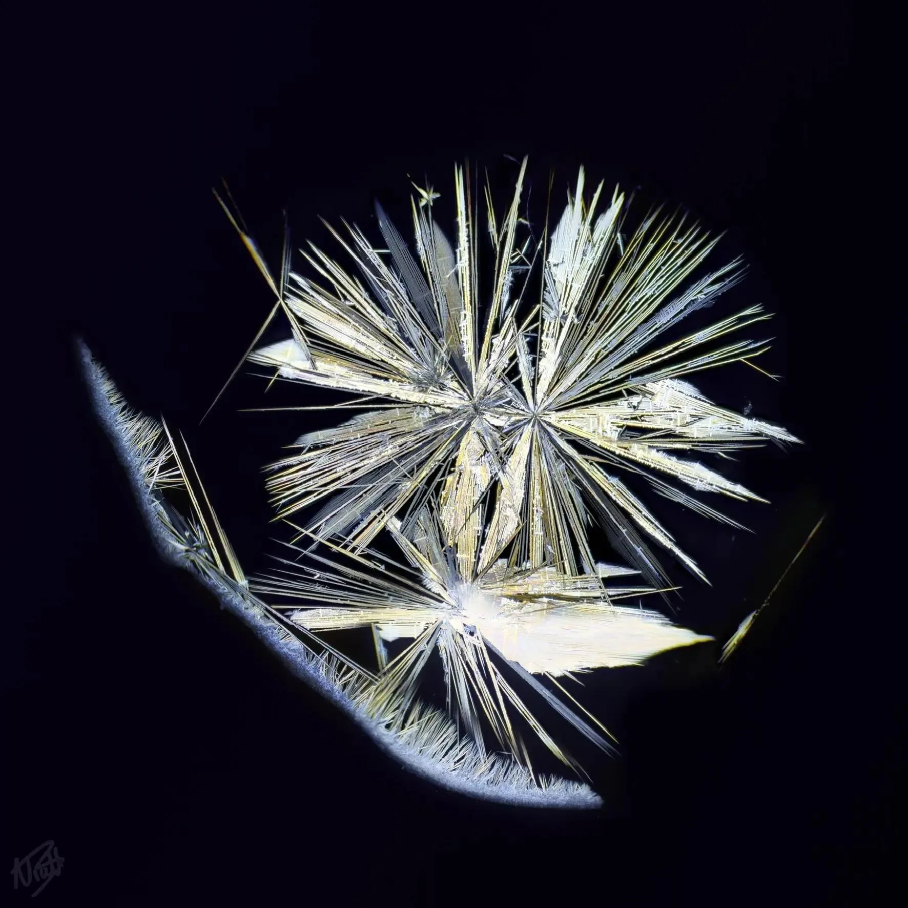 Crystal Nucleation