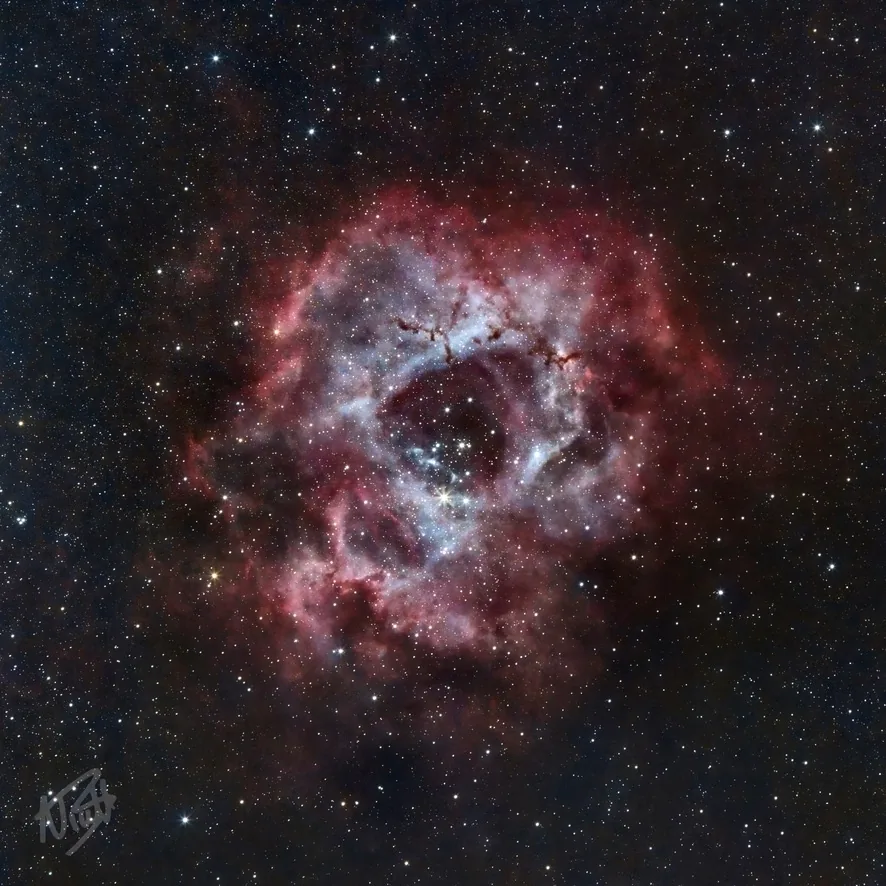 Rosette Nebula