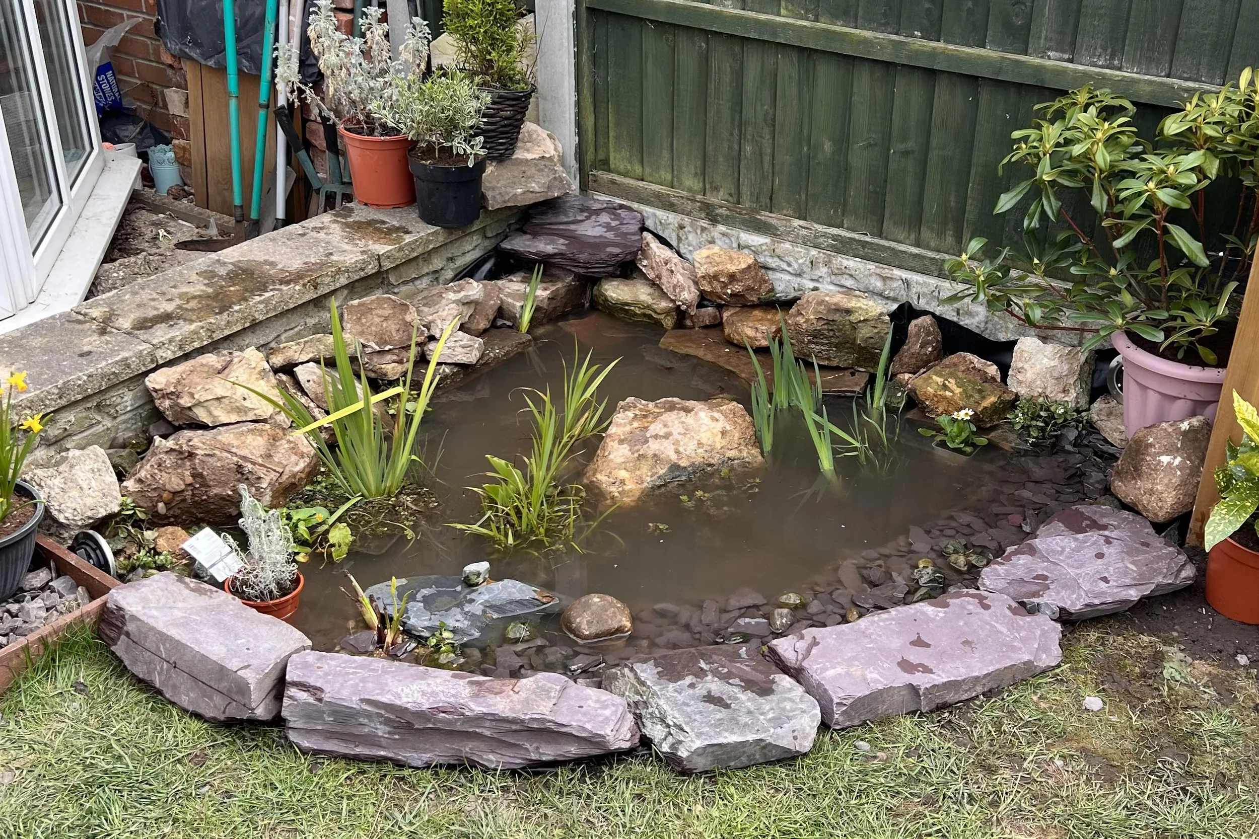 How to Build a Wildlife Pond