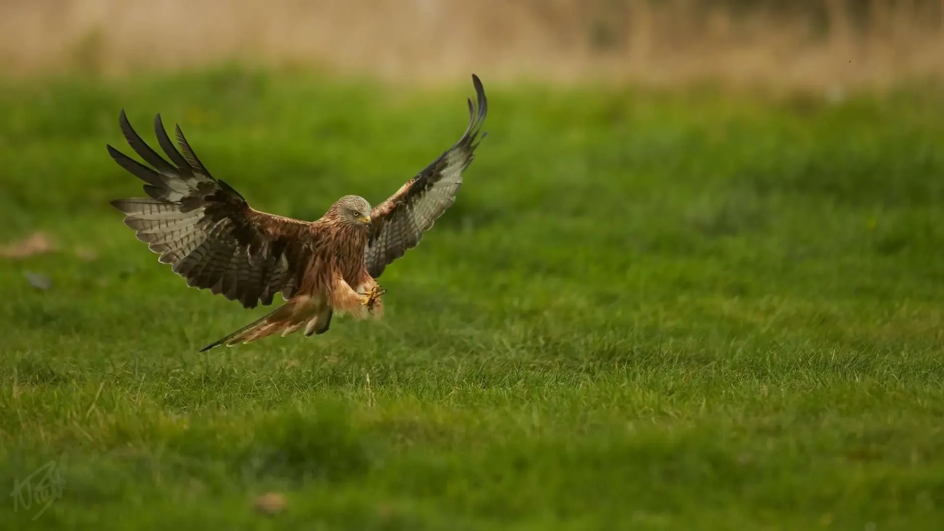 Coming in to Land