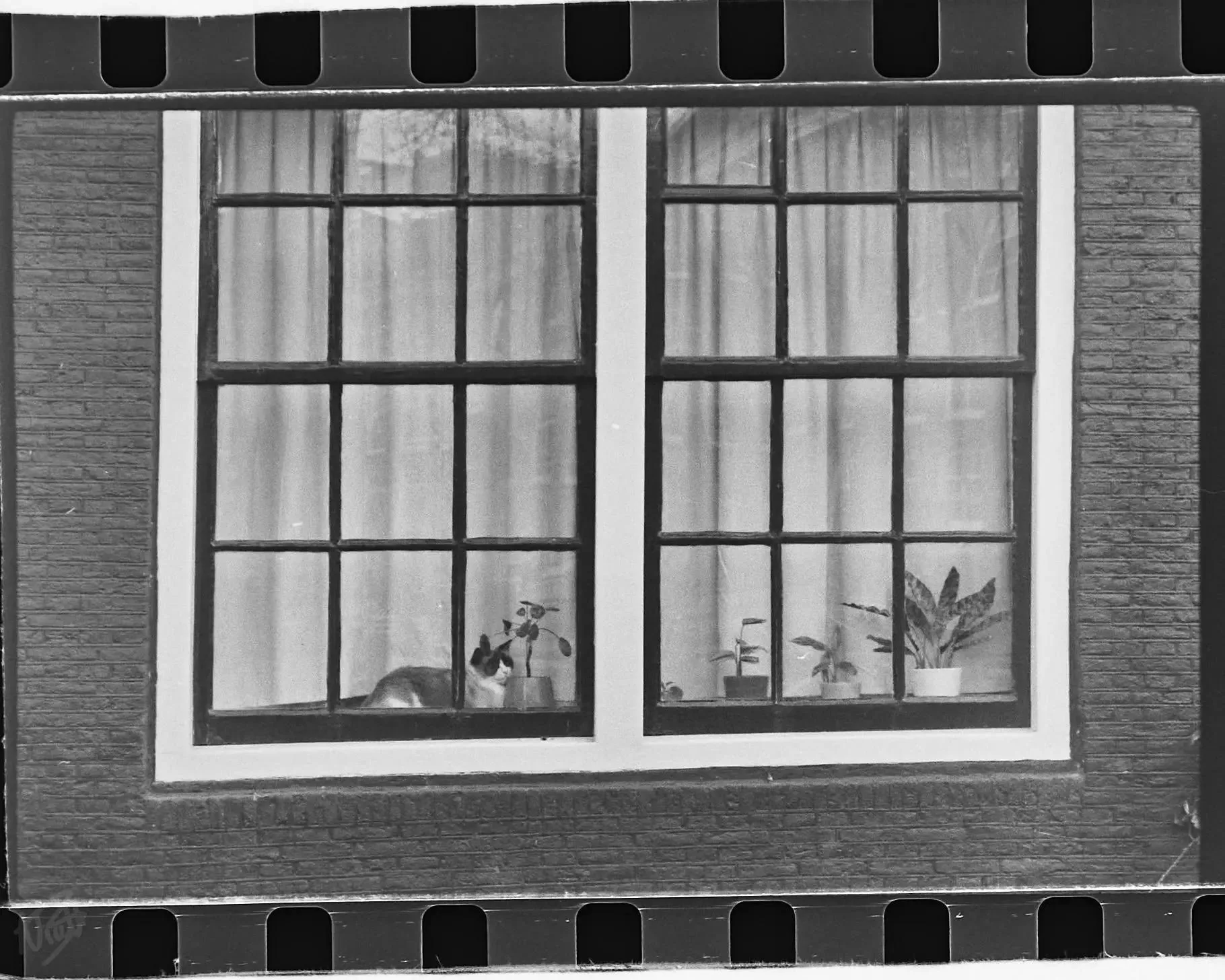 Canal House Windowsill