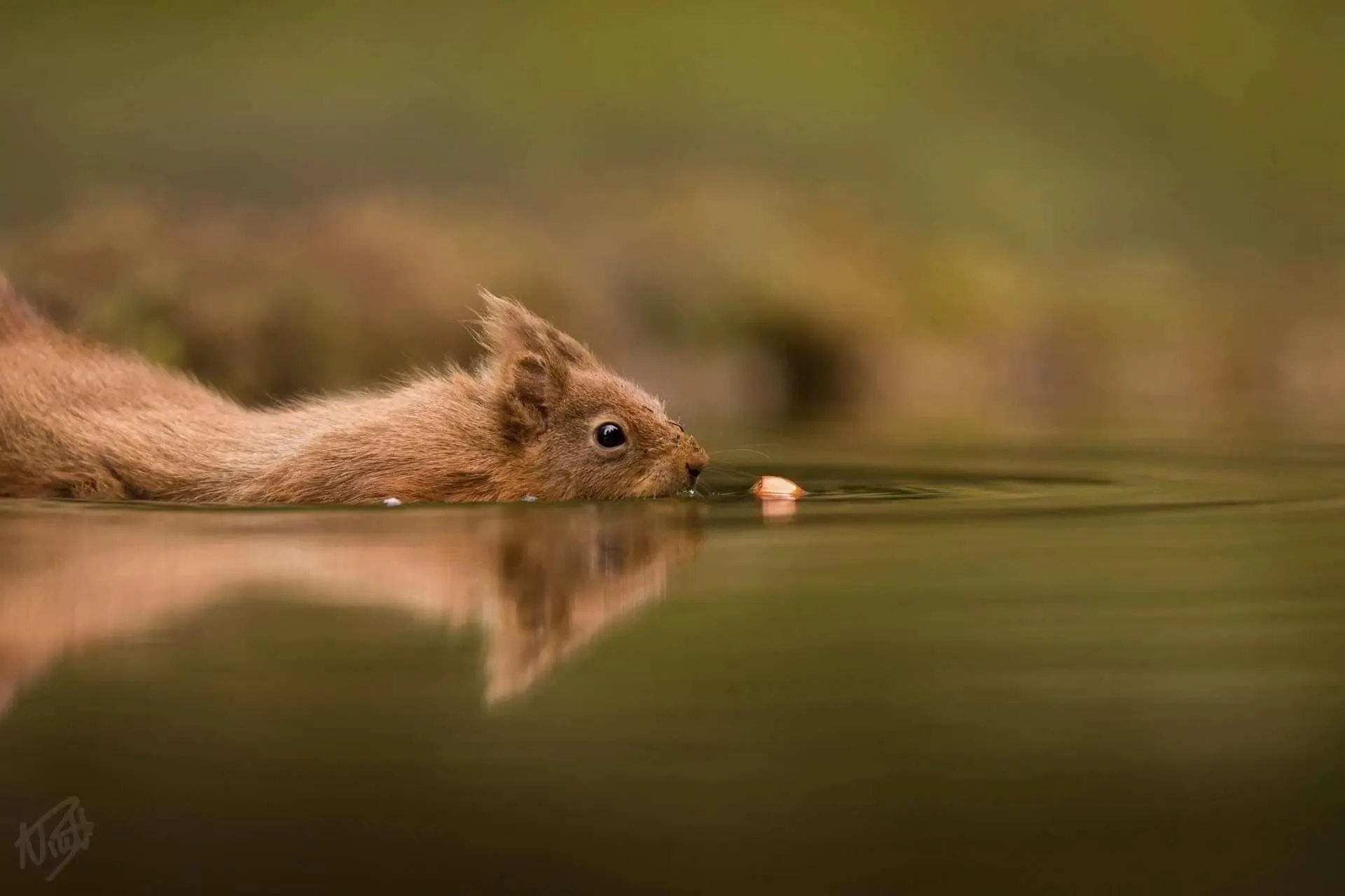 Drinking