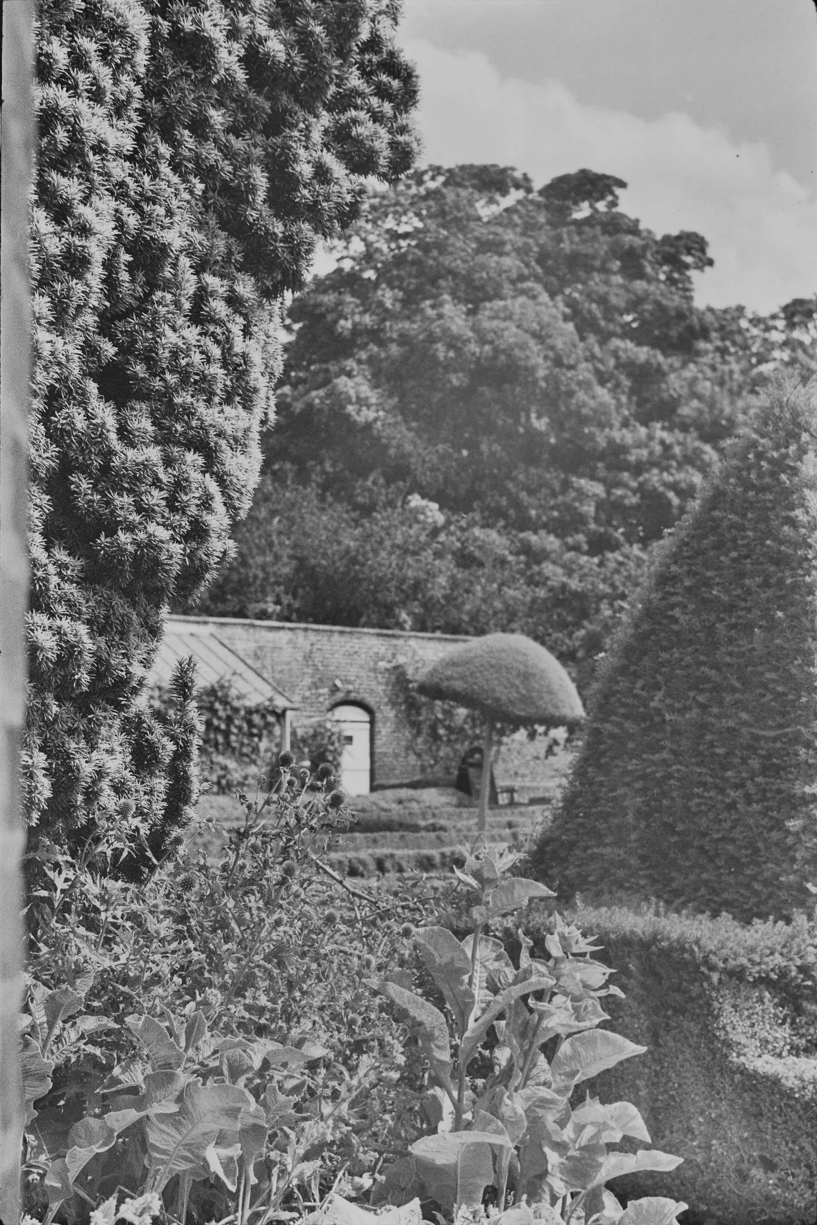 Walled Garden