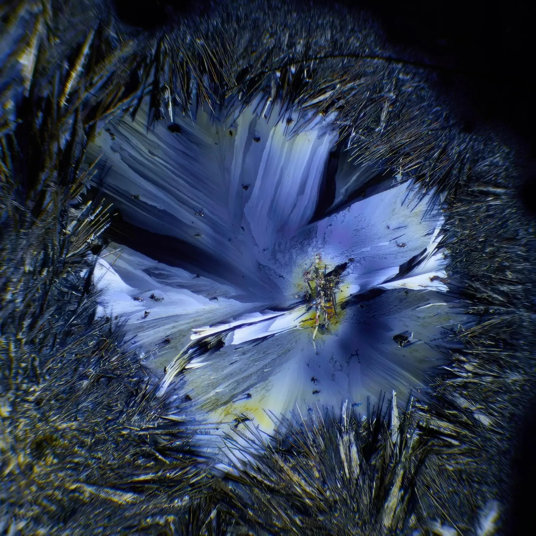 Crystallisation Under Polarised Light