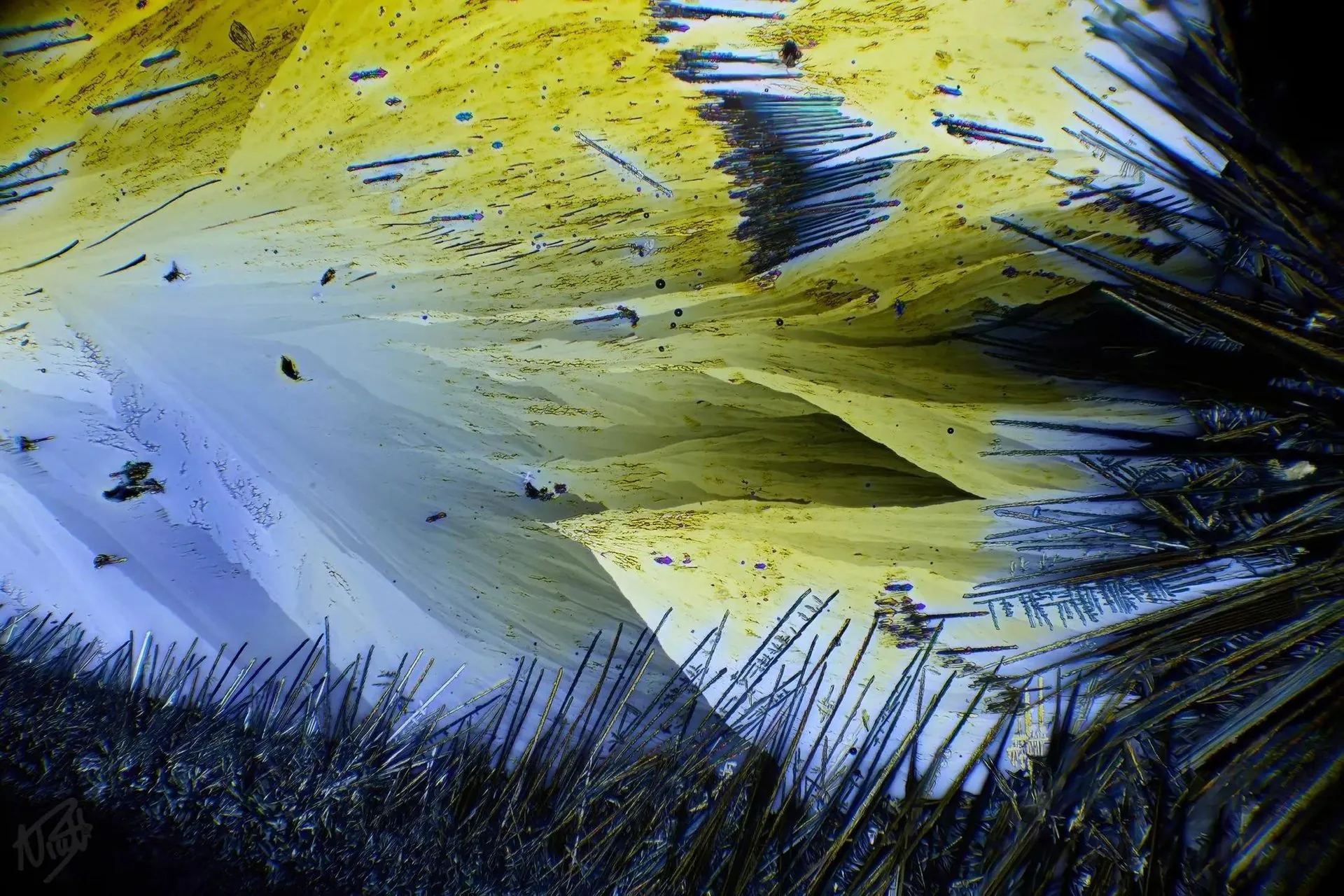 Photomicrography