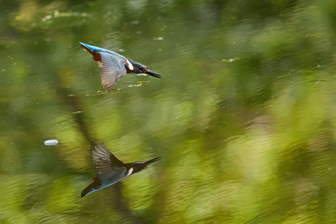 Low Over the River