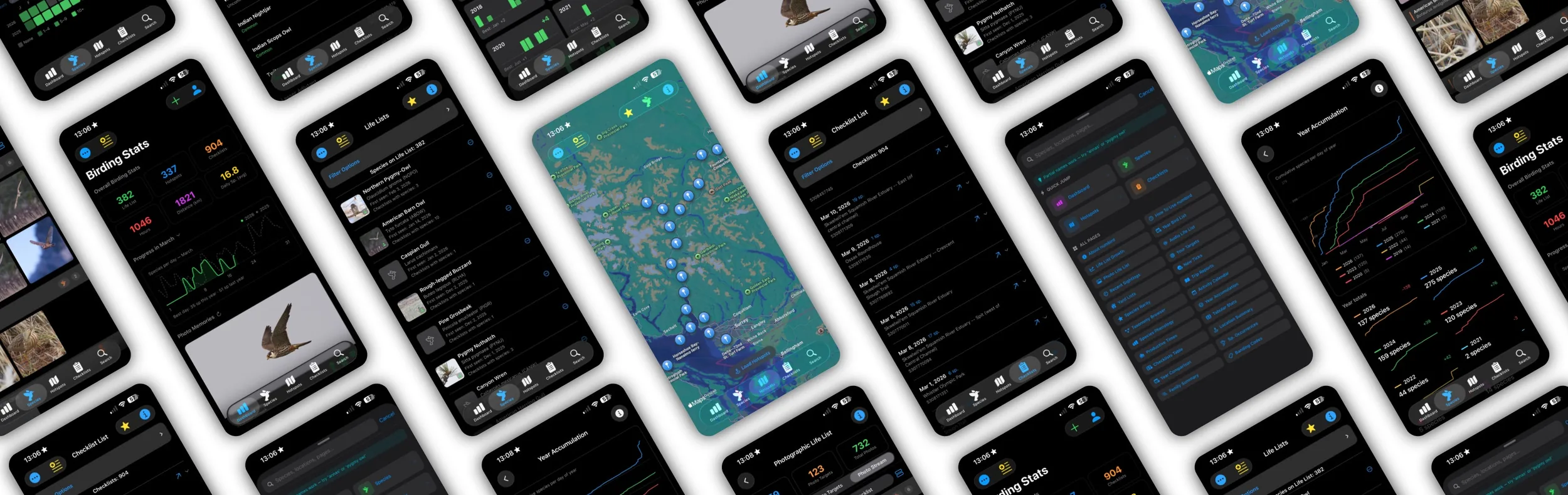 Graphic showing the various screens of the NumBird app