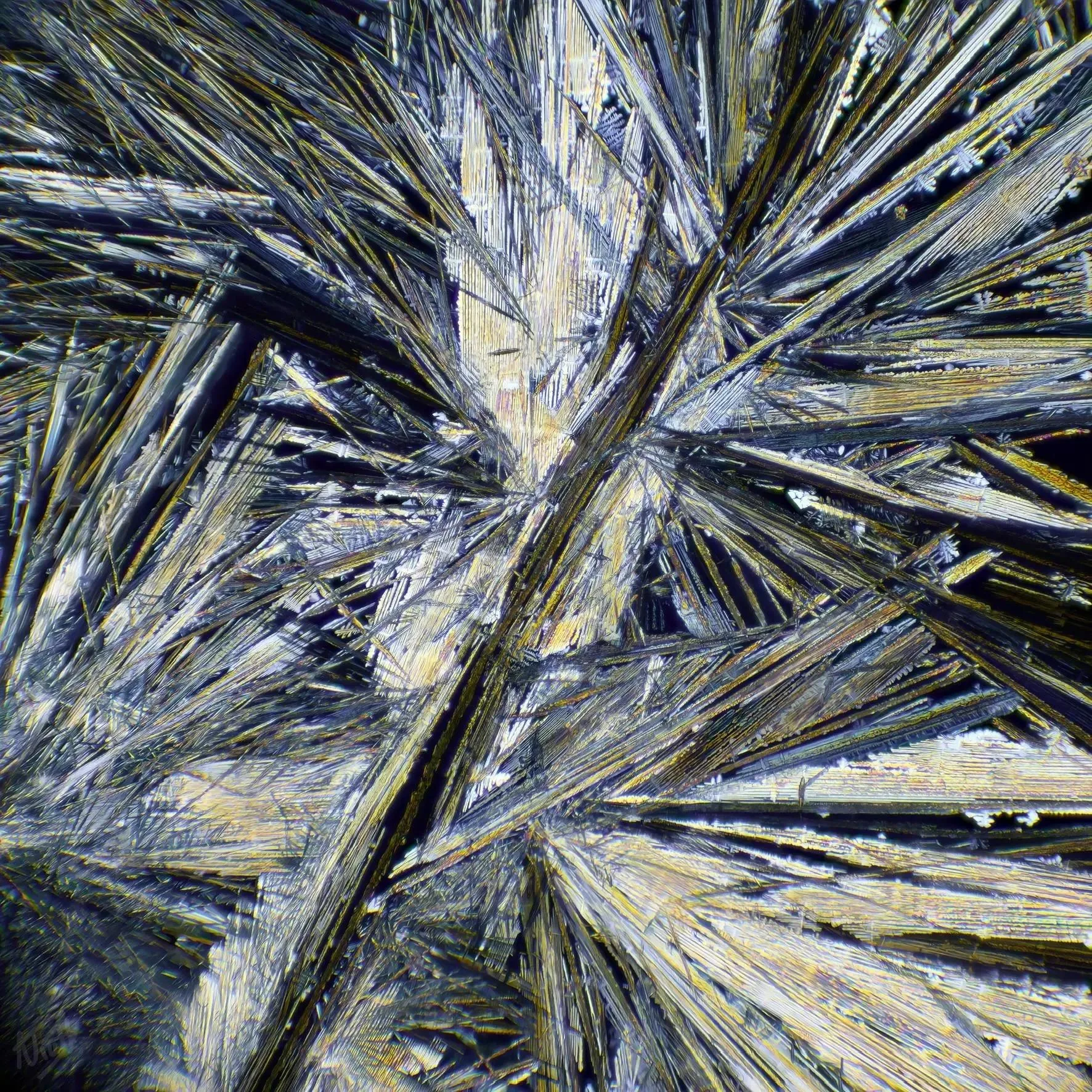 Crystal Forest