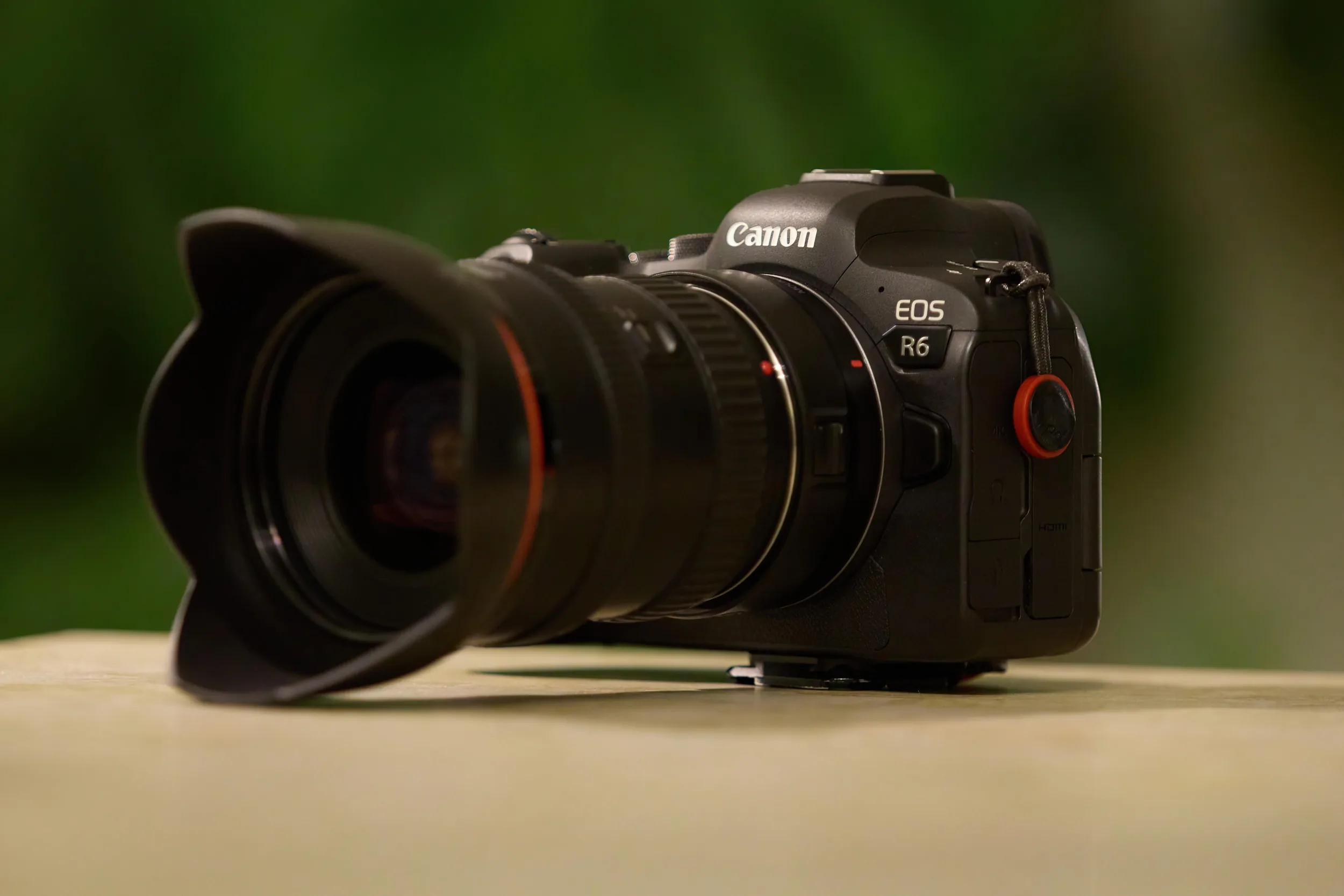 Canon R6 Crashing - Fixed!